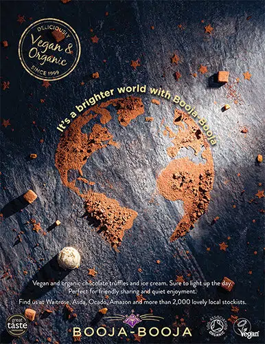 Booja-Booja new year advert of planet earth on slate